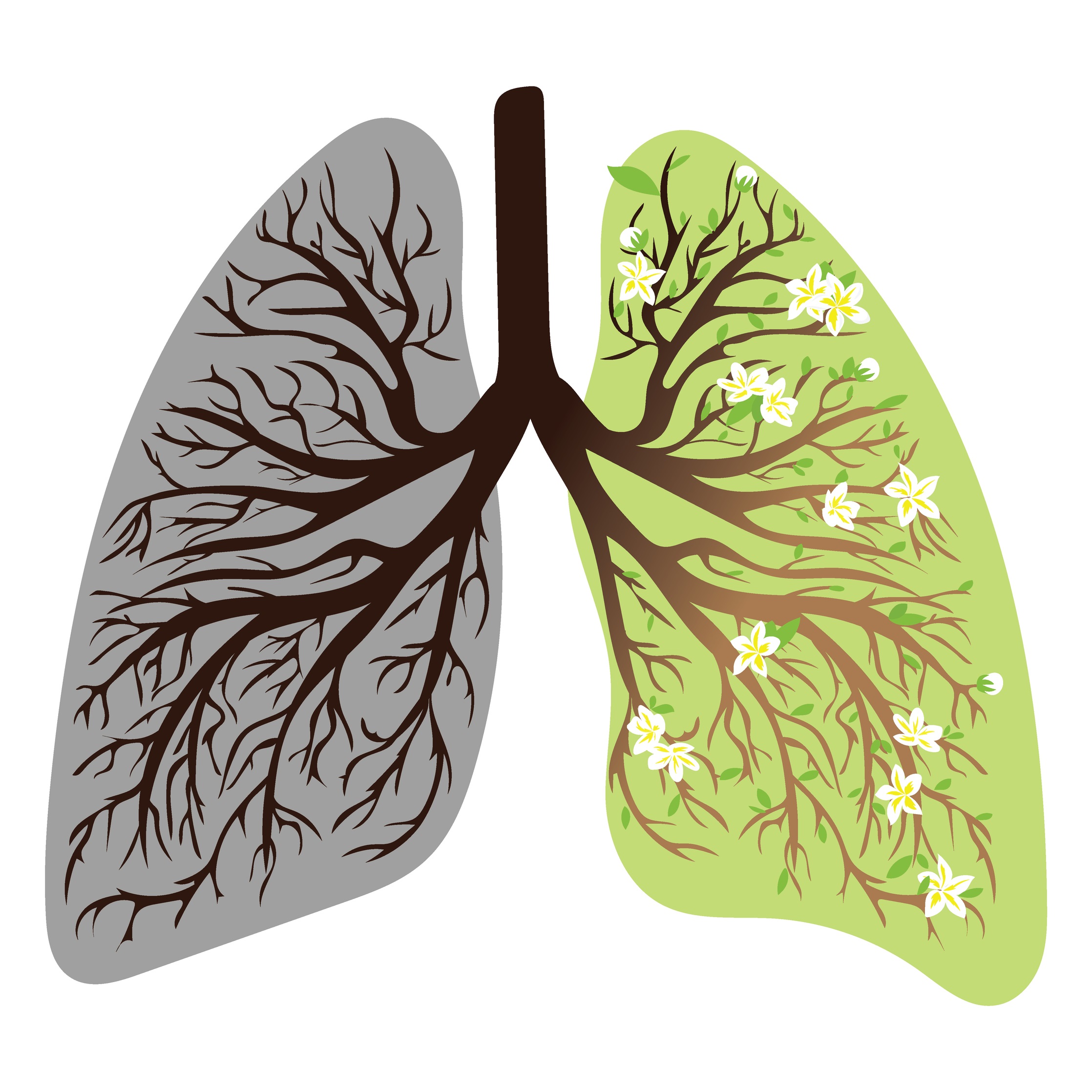 Vitamin D is Vital to Maintaining Healthy Lungs and Respiratory System ...